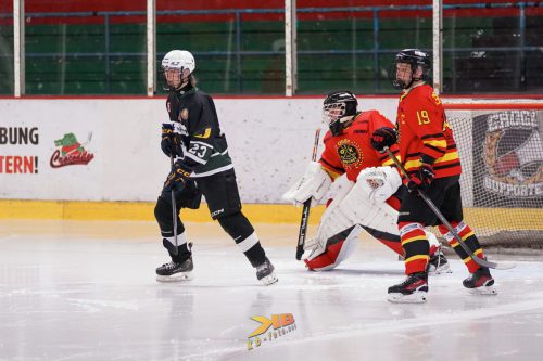 CROvsSWE-110