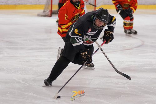 CROvsSWE-118