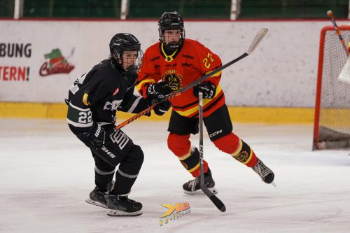 CROvsSWE-142