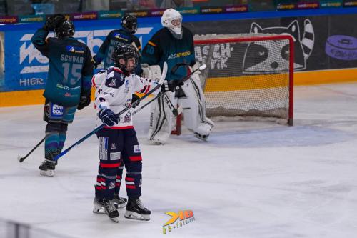 ESSvsEJK-093