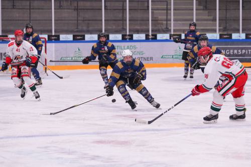 Odense-027