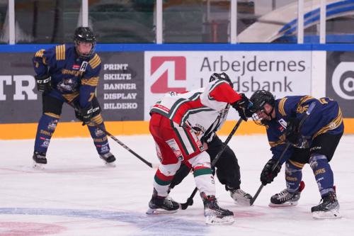 Odense-047