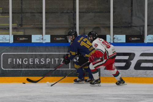 Odense-101